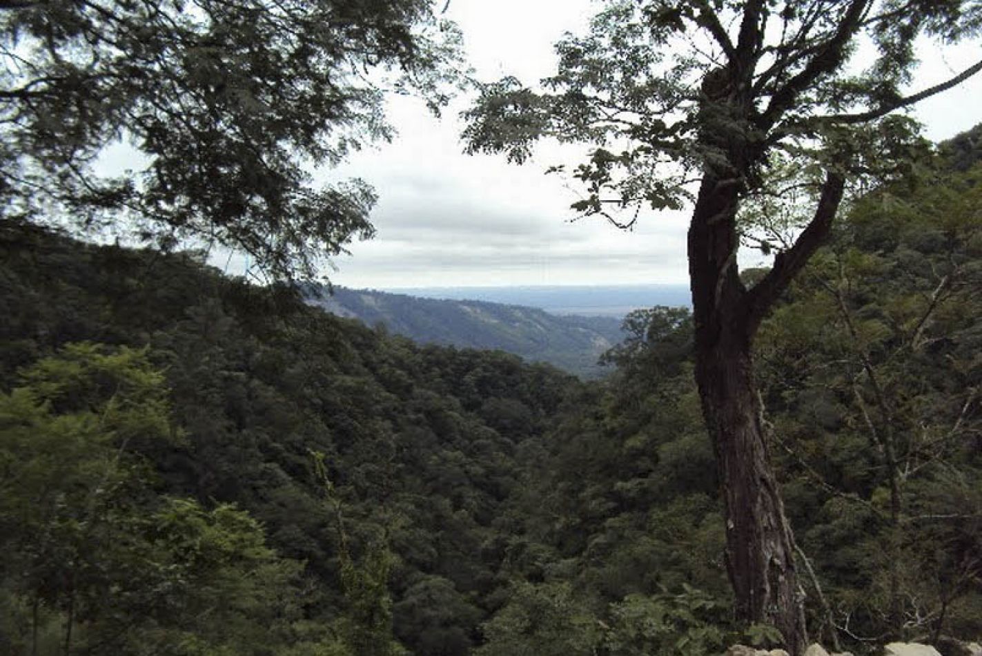 La Provincia Suma Una Nueva Reserva Natural A Su Sistema De Reas